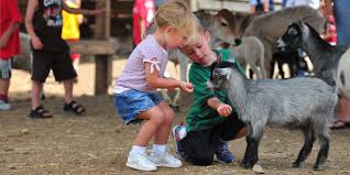 Lancaster park & animal farm is a children's petting zoo in chadderton, near oldham, offering a superb family day out. Petting Zoo In Halifax Pennsylvania Lake Tobias Wildlife Park