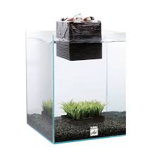 Zen Garden Aquarium Dotandbo Com Aquarium Kit Aquarium Fish Tank