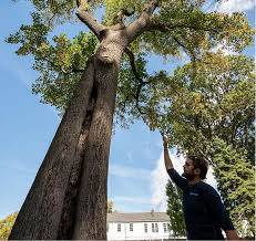 Central Park Arsenal Monday, September 18, 2023
