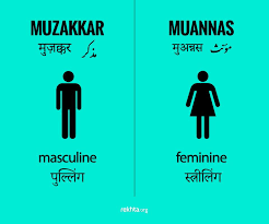 Masculine And Feminine In Hindi Urdu Hindi Leidenuniv Urdu Words With Meaning Urdu Words Hindi Words