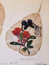 Cambridge University Herbarium gains national significance accolade