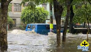 Enrique ocasiona lluvias puntuales intensas en colima, guerrero, jalisco y michoacán, y muy se estableció zona de prevención por efectos de tormenta tropical desde zihuatanejo, guerrero, hasta. Bxxdd1ljmstltm