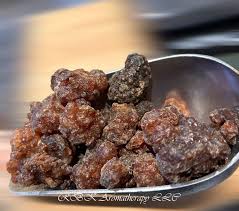 Image result for Commiphora kua