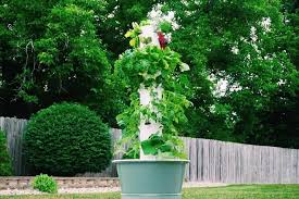 We did not find results for: What Is A Tower Garden And How Does It Work Small Scale Gardener