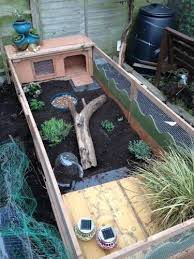 Tortoise Tables For Sale Google Search Tortoise Table Tortoise Habitat Turtle Habitat