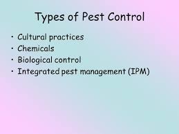 Integrated pest management, or ipm, is a process you can use to solve pest problems while minimizing in ipm, monitoring and correct pest identification help you decide whether management is needed. Today We Are Covering From The Specification Types Of Pest Control Cultural Practices Chemicals Biological Control Integrated Pest Management Ipm Ppt Download