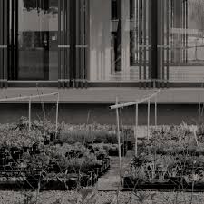 Wir achten die natur und arbeiten nachhaltig mit holz aus der region. Holzbau Kung Holzbau Ag