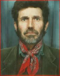 Stories for the Curious — REBEL SEED