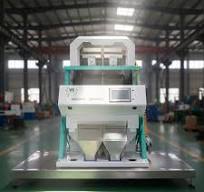Colour Sorting Machine for Berry Belt Type Blueberry Color Sorting Machine for Frozen Fruits