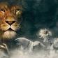NYAB- The Chronicles of Narnia: The Lion, The...