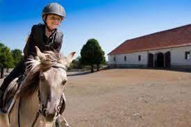 Top Places To Ride A Horse In Metro Detroit