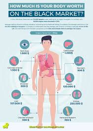 Located between the hyoid bone and mandible. How Much Is Your Body Worth On The Black Market Only Fun Facts