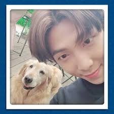Nhóm có 4 thành viên thôi mà cô nào cũng bị đối xử bất công? K Pop Idols Bts V Suga Rm Blackpink S Jisoo Jennie Pose With Pets