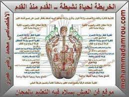 خريطة القدم fitness nutrition health fitness nutrition health