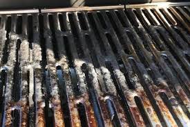 Ich bin natürlich mit diesem reiniger auch über die fazit: Santos Hardware Ecke Tipps Zum Grill Winterfest Machen