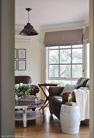 Darker Fan In Living Room Paint Existing Or New Brown Living Room Decor Brown Living Room Cottage Living Rooms