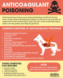 Image result for ratpoison