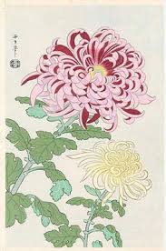 Flower that represents strength and courage. Japanese Flowers Meaning Hanakotoba èŠ±è¨€è'‰ Bangkok Tattoo Studio 13 Thailand