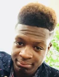 Obituary for Willie Lee Cheley, Jr.