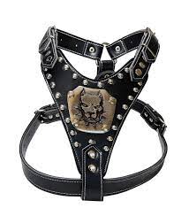 gladyator deri kopek tasmasi dogo tasma pitbull tasma