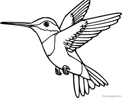 Your start page is the first thing you see when. Hummingbird Coloring Pages Coloringall