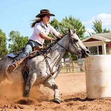 What is a barrel racing horse? Barrel Racing Horses For Sale