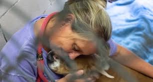All donations go towards vet care, vaccinations, spay and neuter, and special food needs. Finding Furever Homes Clear The Shelters Day Hopes To Help Dogs Cats Get Adopted North Texas Daily
