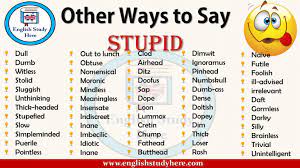 Other Ways To Say Stupid Other Ways To Say English Study Words For Stupid