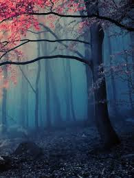 We did not find results for: Forest Spooky Wallpaper Kolpaper Awesome Free Hd Wallpapers