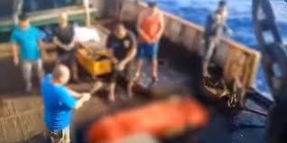 Umr kota cikarang telah ditetapkan naik hampir 300 ribu untuk tahun 2021, selengkapnya. Pekerjaan Berisiko Berapa Gaji Abk Indonesia Di Kapal Ikan Asing Halaman All Kompas Com