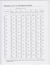 Kiss My Tractor Gestation Chart For Farm Animals