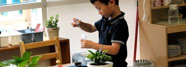 The Dual Purpose Of Montessori Preschool Practical Life Activities Leport Montessori Schools