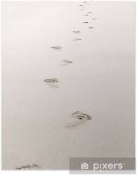 Maybe you would like to learn more about one of these? Poster Spuren Im Sand Pixers Wir Leben Um Zu Verandern