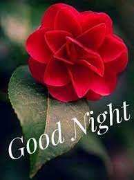  Good Night Images In 2021 Good Night Good Night Image Good Night Wishes