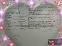 Maybe you would like to learn more about one of these? Translation Ø§Ù„ØªØ±Ø¬Ù…Ø© Home Facebook