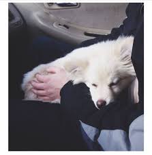 Profile for Echo Jackson