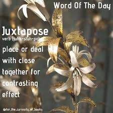 Juxtapose Word Of The Day Word Of The Day Words Unusual Words