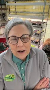 Spring pot planting is complete! 🪴Despite the rain, we made it to  @scheidererfarms for our semi-annual flower shop. Mulched last weekend, pot  planting this weekend, next up —> perennial planting! 🌱 #spring #