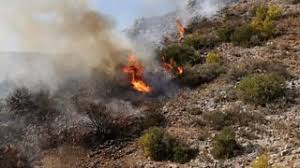 Two dead and hundreds evacuated as wildfires break out near Athens — BBC