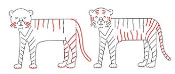 Refer to the picture below to get a better idea. Tiger Lesson Draw Write Now 7 Draw Your World Draw Write Together