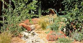 How We Planned, Planted and Now Care for our...