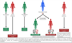 Image result for G6PD Deficiency
