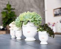 How to grow flowers from seed on amazon 16 Mother S Day Gardening Gifts For Mom Better Gardener S Guide