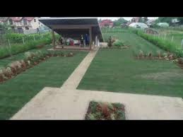 George buhnici, în vârstă de 37 de ani, se bucură de certificarea de „casă pasivă premium, primită în februarie 2018, fiind prima și singura casă din românia george buhnici are casa pe structură din lemn, considerată mai solidă decât structura blocurilor, și stâlpi din beton, iar temperatura, nivelul de. Casabuhnici E Gata GrÄƒdina Youtube