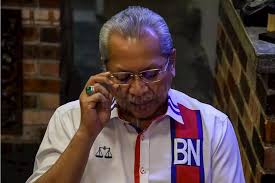 Pada 2008, beliau diumumkan sebagai tokoh maal hijrah sempena sambutan maal hijrah 1429h peringkat. Umno Annuar Musa Enggan Ulas Laporan Syed Mokhtar Beli Saham Umno The Malaysian Insight Annuar Musa