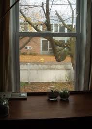 Resealable Cat Proof Magnetic Window Insulation Tutorial Window Insulation Cat Proofing Interior Storm Windows