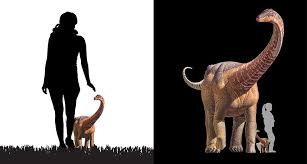 [shot begins under the titanosaur's head and runs [a view from the other side of the titanosaur. Baby Titanosaur Was A Mini Version Of Its Parents Science News For Students