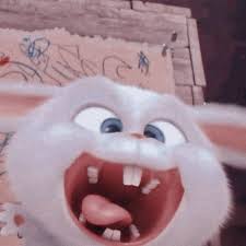 We did not find results for: 160 Arnab Ideas In 2021 Haiwan Peliharaan Lukisan Disney Haiwan Lucu