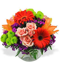 We're here for all of your home improvement needs. Jimmy S Flower Shop 13 Photos 20 Reviews Florists 2840 N Hill Field Rd Layton Ut United States Phone Number Yelp