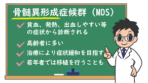 Check spelling or type a new query. éª¨é«„ç•°å½¢æˆç—‡å€™ç¾¤ Mds æ ªå¼ä¼šç¤¾ãƒ—ãƒ¬ã‚·ã‚¸ãƒ§ãƒ³